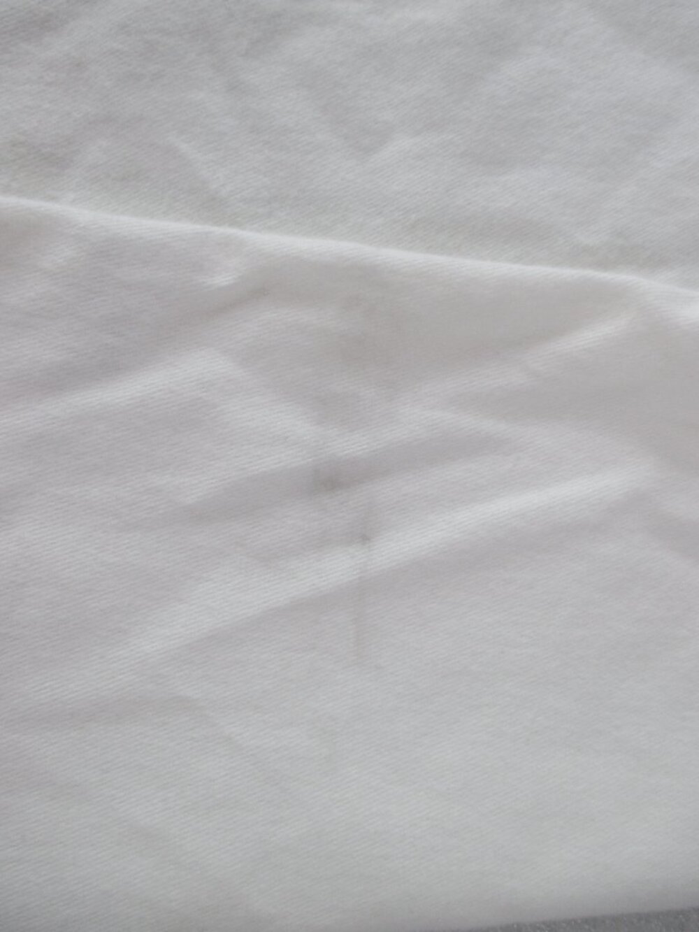 LARGE "THE ROW" DUSTBAG - Picture 12 of 12
